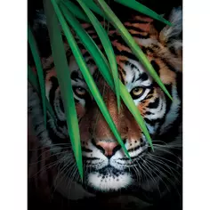Фотообои Тигр на охоте флизелиновые, 200x270 см, L13-196 Fbrush