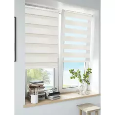 Штора рулонная день-ночь Inspire Peter 60x160 см экрю