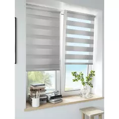 Штора рулонная день-ночь Inspire Peter 60x160 см светло-серая