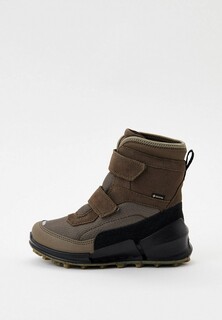 Ботинки Ecco BIOM K2