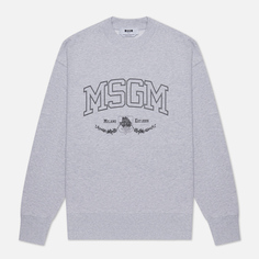 Мужская толстовка MSGM College Est. 2009 Print, цвет серый
