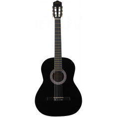 Классические гитары Terris TC-395A BK