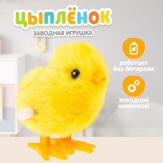 Игрушка заводная NO Brand