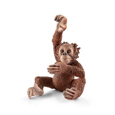 Игровые фигурки Schleich Фигурка Орангутан детеныш