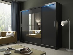 Шкаф-купе Ясмина 221лк Фиеста Эко