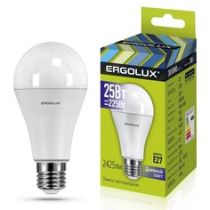 Лампа светодиодная E27, 25 Вт, 225 Вт, груша, 6500 К, свет холодный белый, Ergolux