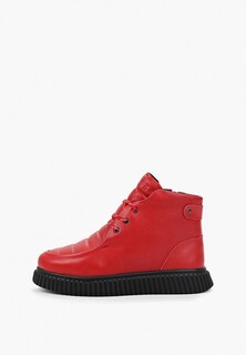 Ботинки Shoiberg 