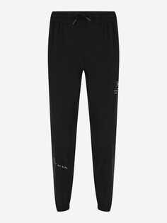 Брюки мужские Li-Ning, Черный