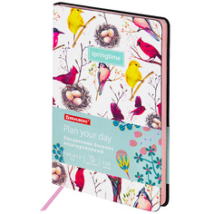 BRAUBERG Ежедневник недатированный А5, VISTA Birds