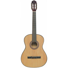 Классические гитары Terris TC-3901A NA