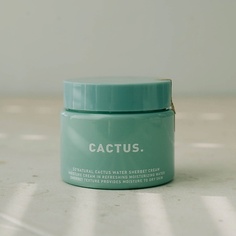 Крем для лица SO NATURAL Освежающий крем Cactus Water Sherbet Cream 80