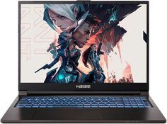 Ноутбук Hasee T8-DA7NP+ i7-12700H/16GB/512GB SSD/RTX 3060 6GB/16" IPS/noDVD/BT/WiFi/cam/DOS/black