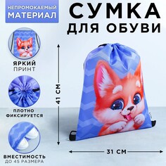 Сумка для обуви Art Fox Study