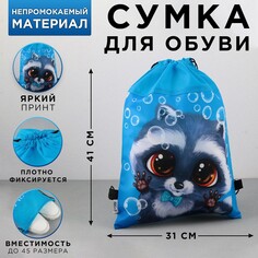 Сумка для обуви Art Fox Study