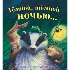 Художественные книги Clever Тёмной, тёмной ночью