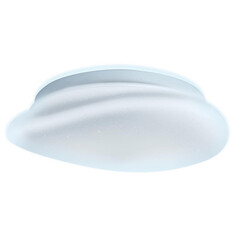 Светильники настенно-потолочные светодиодные светильник светодиодный RITTER Stone 12Вт 6000К 1020Лм белый