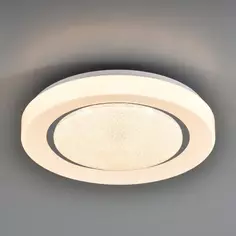 Светильник настенно-потолочный светодиодный Pinola 2079/DL с пультом управления, 14 м², регулируемый свет, цвет белый Сонекс