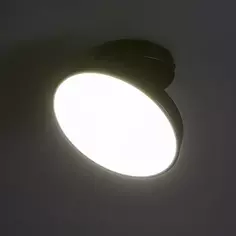 Светильник потолочный 20023SMA/01 цвет черный Escada