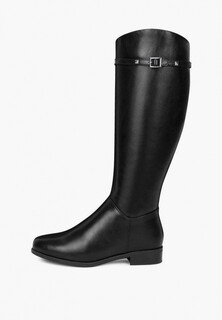 Сапоги T.Taccardi 