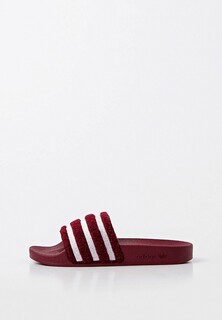 Сланцы adidas Originals ADILETTE W