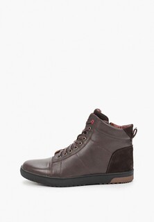 Кеды Alessio Nesca 