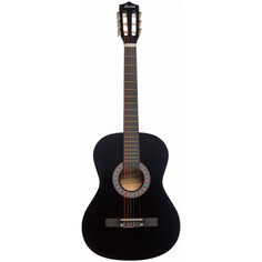 Классические гитары Terris TC-3801A BK