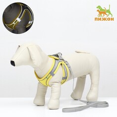 Комплект с мягкой шлейкой, быстросъемный, m, поводок 150 х 1,5 см, ош 38-44 см, ог 44-50 см, желтый Пижон