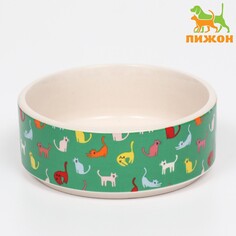 Миска керамическая Пижон