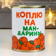 Копилка-банка металл NO Brand