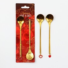 Подарочный набор ложек с подвесами Семейные традиции