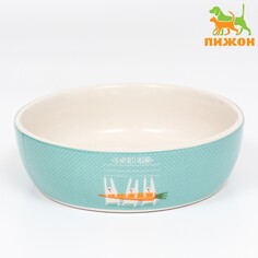 Миска керамическая Пижон
