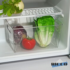 Контейнер для холодильника ricco, 29×20,5×15,5 см NO Brand