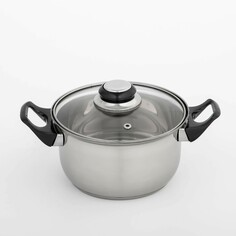 Кастрюля из нержавеющей стали доляна