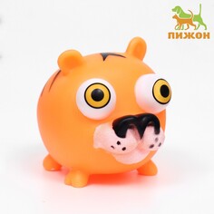 Игрушка для собак Пижон