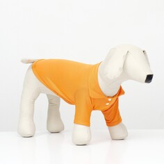 Футболка-поло для животных, xl (дс 40, ог 50, ош 33 см), оранжевая NO Brand