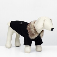 Пальто для собак, размер xs (дс 20, ог 29-30, ош 20-21 см), черное NO Brand