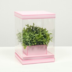 Коробка для цветов с вазой и pvc окнами складная, розовый, 16 х 23 х 16 см NO Brand