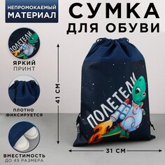 Сумка для обуви Art Fox Study