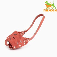 Намордник регулируемый из мягкой кожи, размер № 2, дн 5-6 см, ом 15-19 см, коричневый Пижон