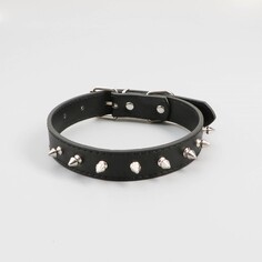 Ошейник Пижон