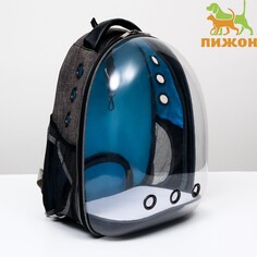 Рюкзак для переноски животных прозрачный, 31 х 28 х 42 см, голубой Пижон