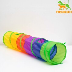 Туннель для кошек с игрушкой, 120 х 25 см, разноцветный Пижон