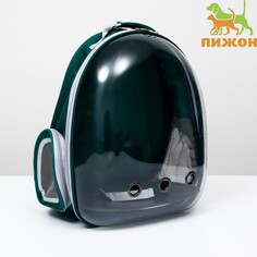 Рюкзак для переноски животных, прозрачный, 31 х 28 х 42 см, зеленый Пижон