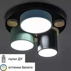 Люстра потолочная светодиодная Ritter Scandia 52074 0 30 Вт 10 м² регулируемый белый свет цвет черный/зеленый/голубой/дерево