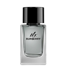 Туалетная вода BURBERRY Mr. Burberry 100