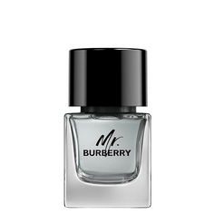 Туалетная вода BURBERRY Mr. Burberry 50