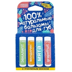 Набор средств для ухода за губами СДЕЛАНОПЧЕЛОЙ 100% натуральные бальзамы для губ "Зимняя серия", коробка 4 штуки