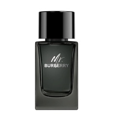 Парфюмерная вода BURBERRY Mr. Burberry Eau de Parfum 100