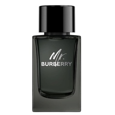 Парфюмерная вода BURBERRY Mr. Burberry Eau de Parfum 150