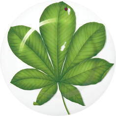 Сервировочное блюдо Taitu Leaf Freedom 1-86-D